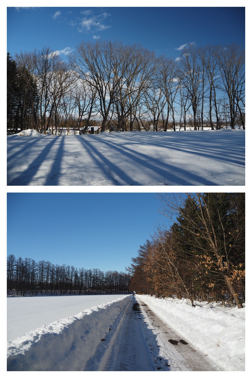 250215_Sanpo_2