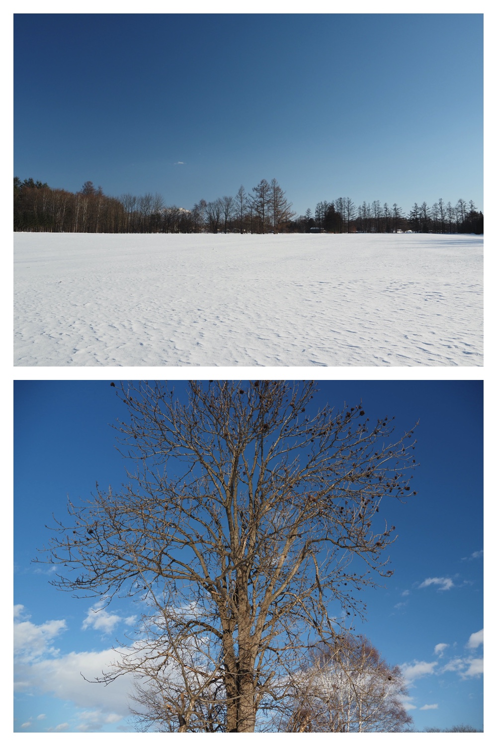 250215_Sanpo_5