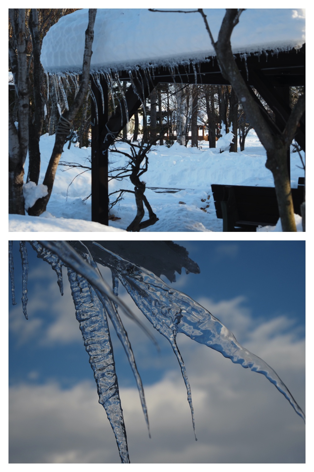 250215_Sanpo_8