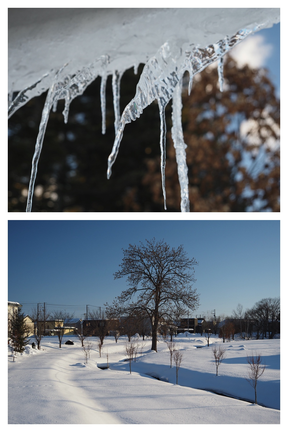 250215_Sanpo_9