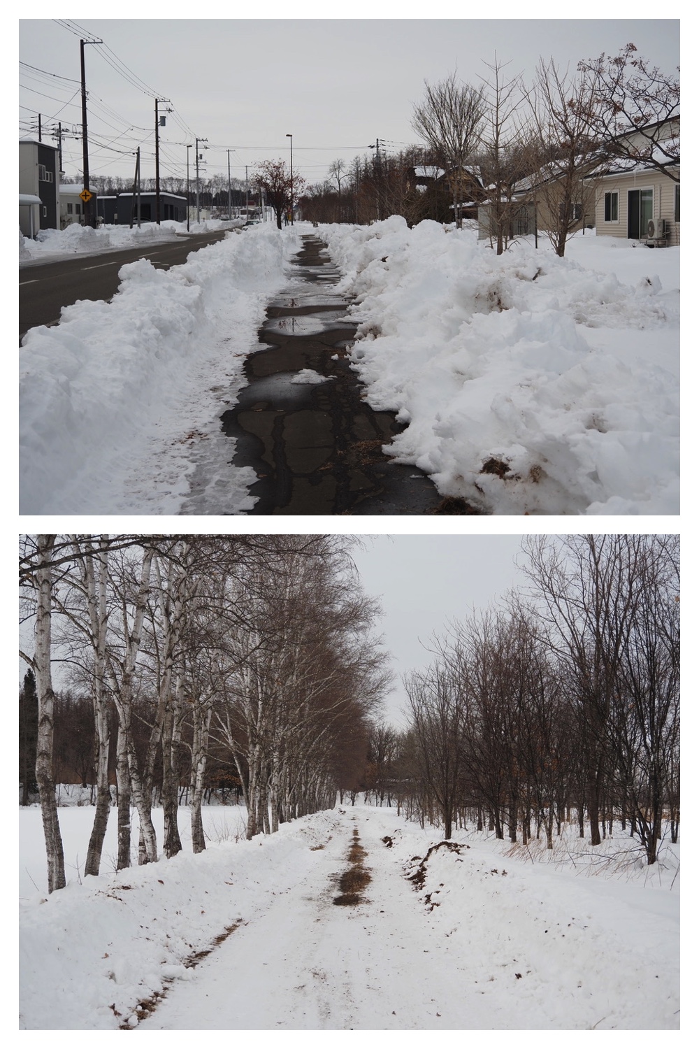 250216_Urikaigawa_1