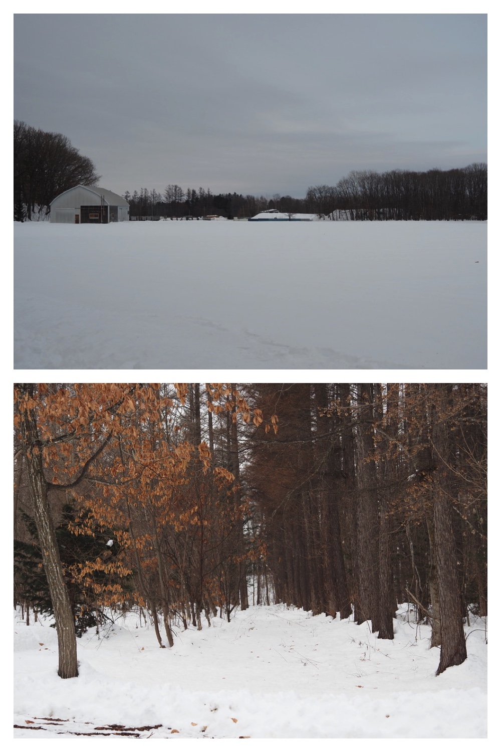 250216_Urikaigawa_2