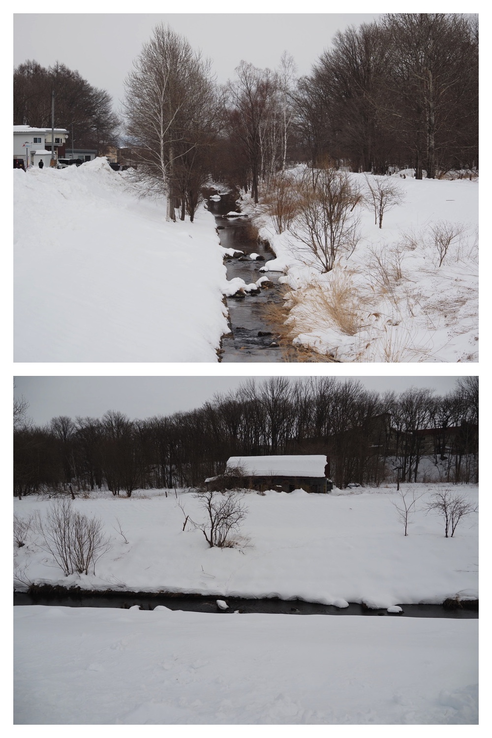 250216_Urikaigawa_6