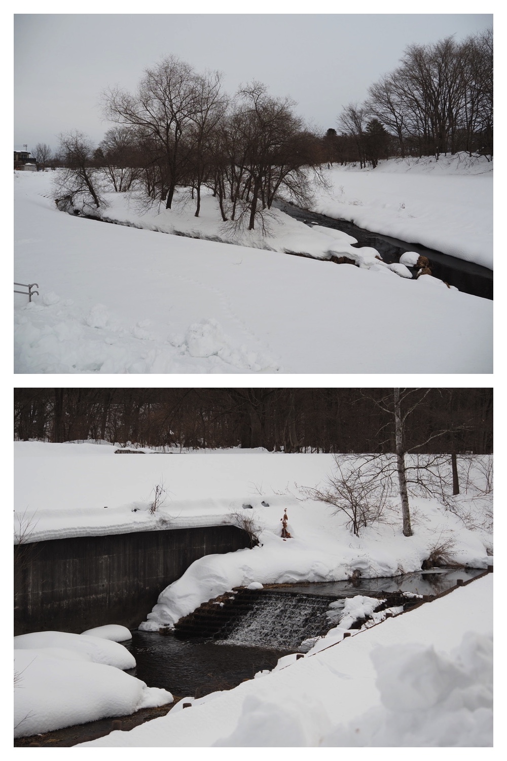 250216_Urikaigawa_7