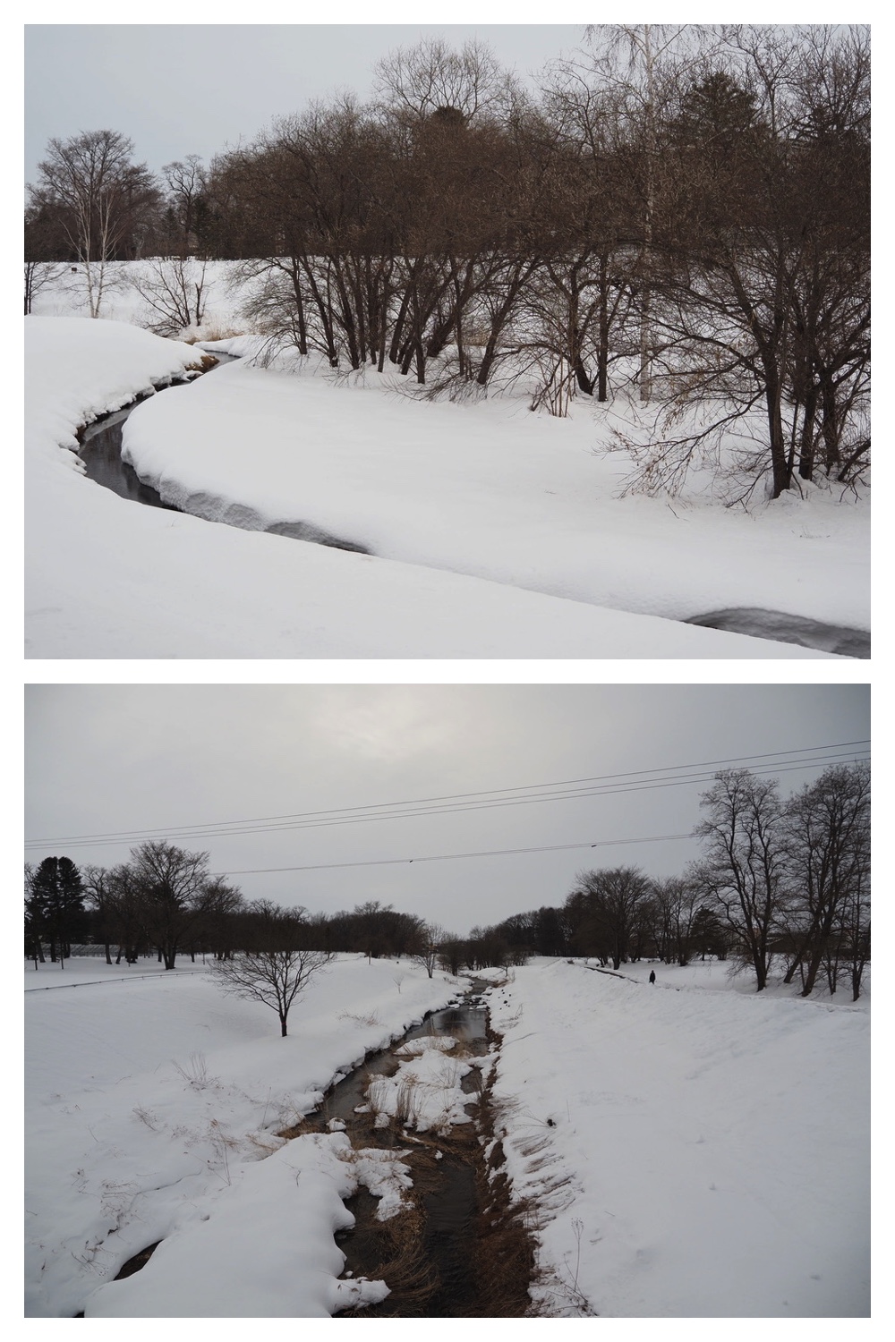 250216_Urikaigawa_8