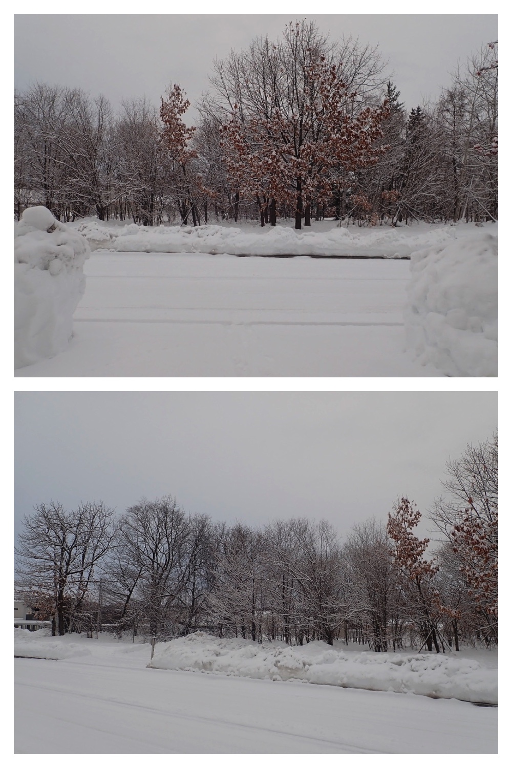 250218_New-snow_1