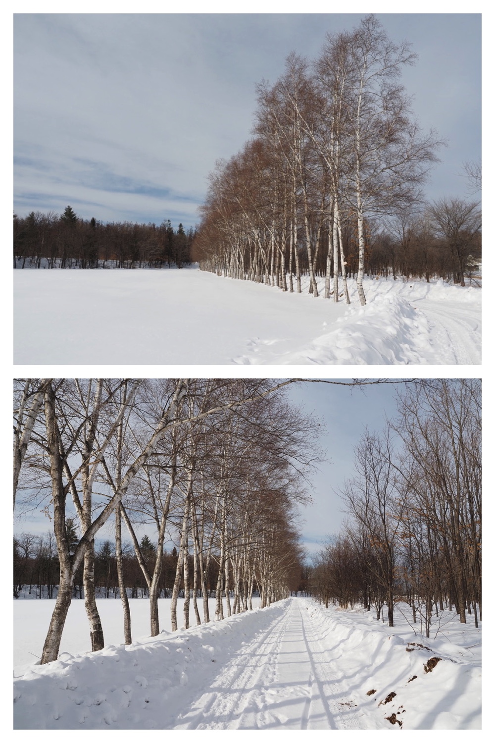 250218_New-snow_2