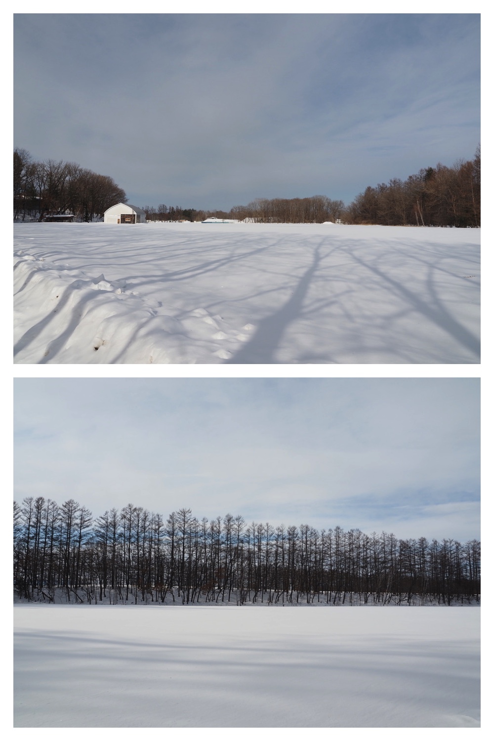 250218_New-snow_3