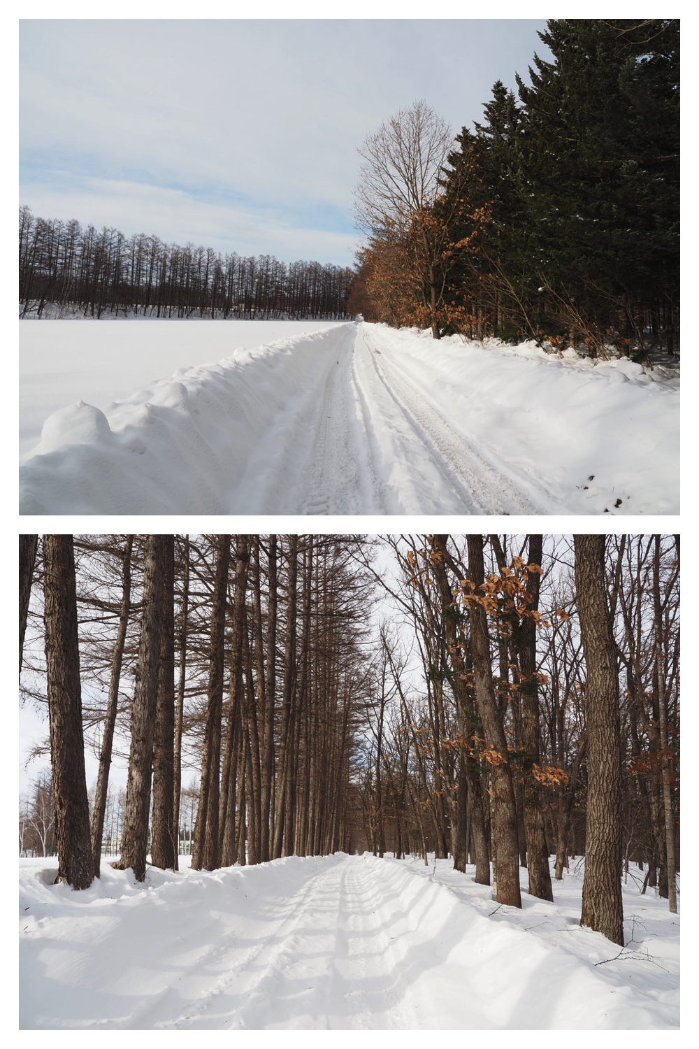 250218_New-snow_4