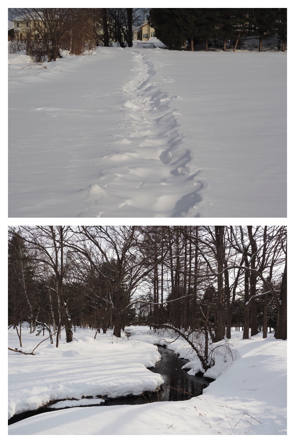 250218_New-snow_9