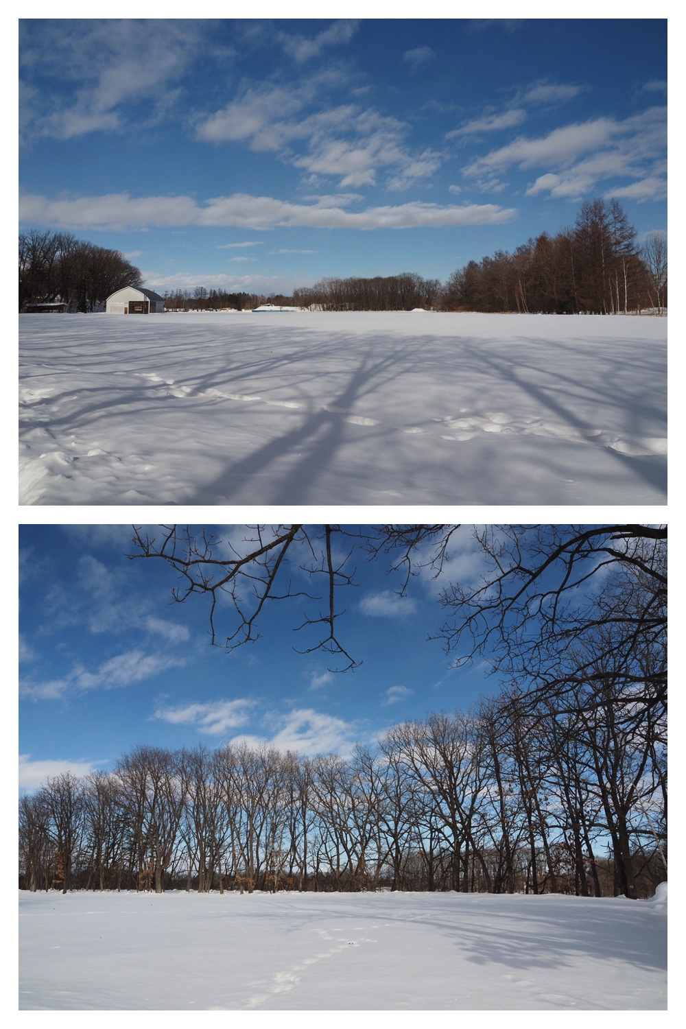 250221_Larch_2