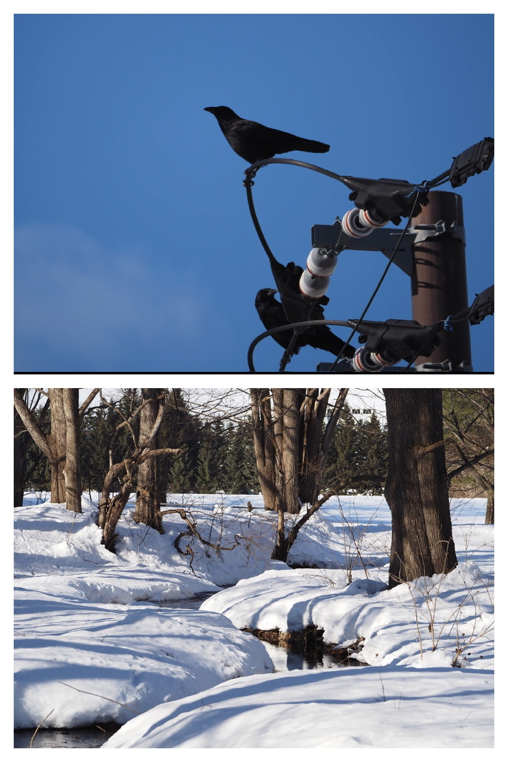 250222_Telescope_6