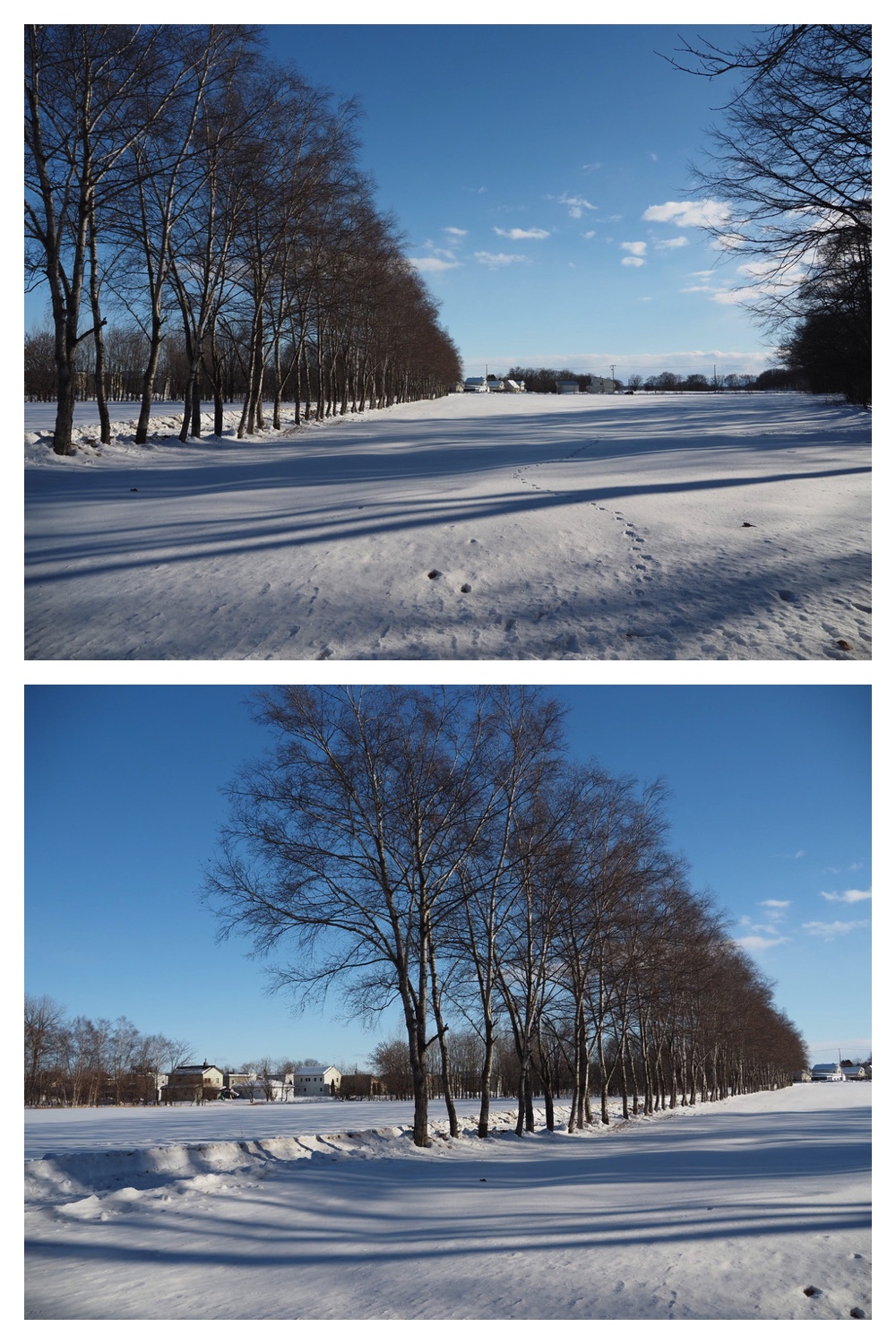 250223_Kanjiki_10