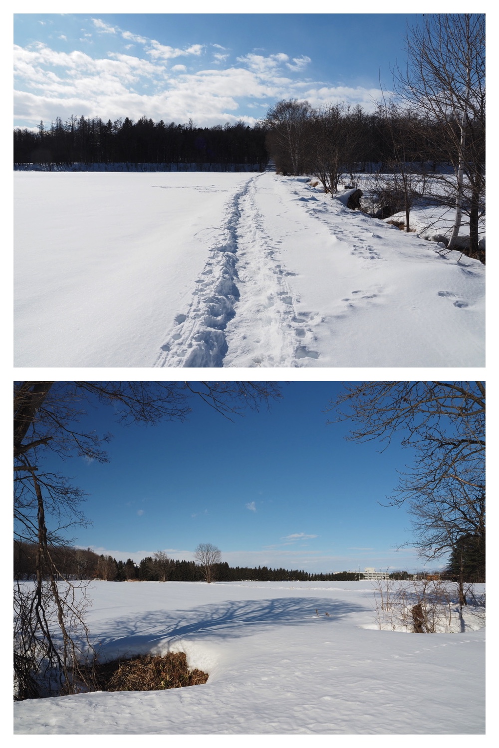 250223_Kanjiki_3