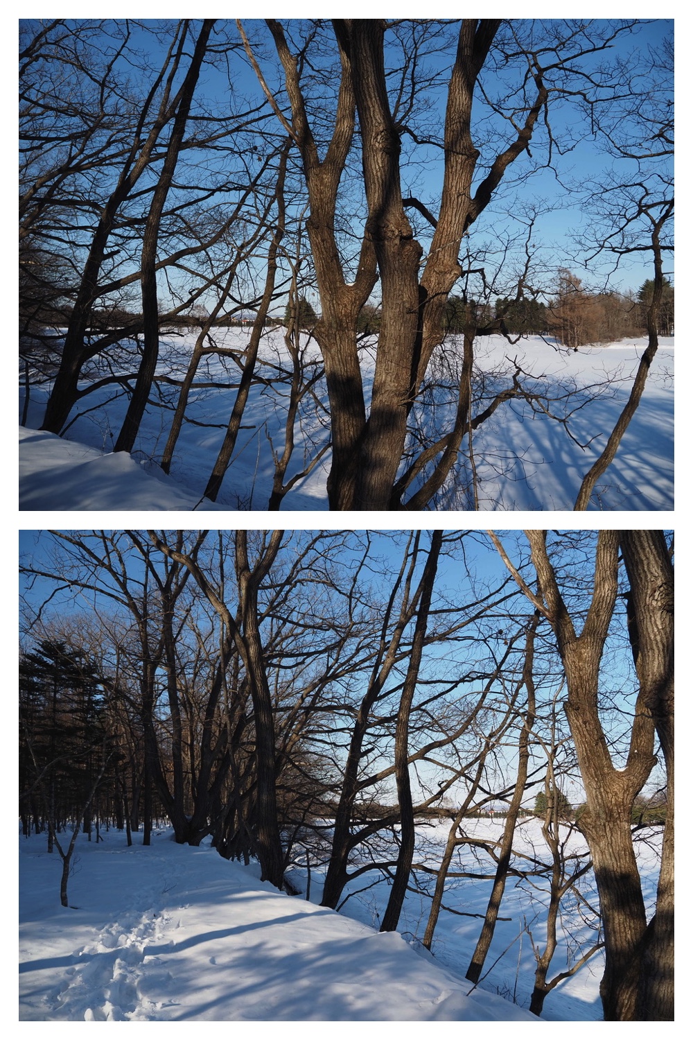 250224_Reverse_4