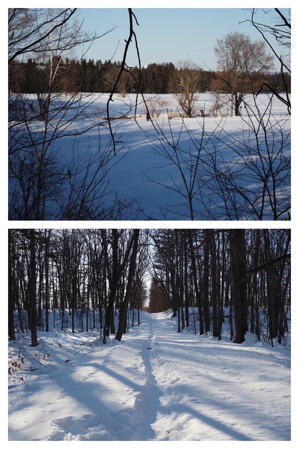 250224_Reverse_6
