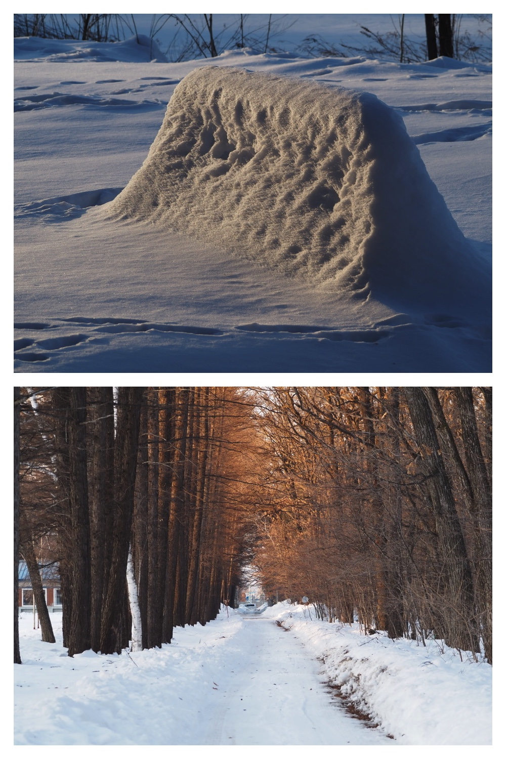 250225_Evening-walk_5