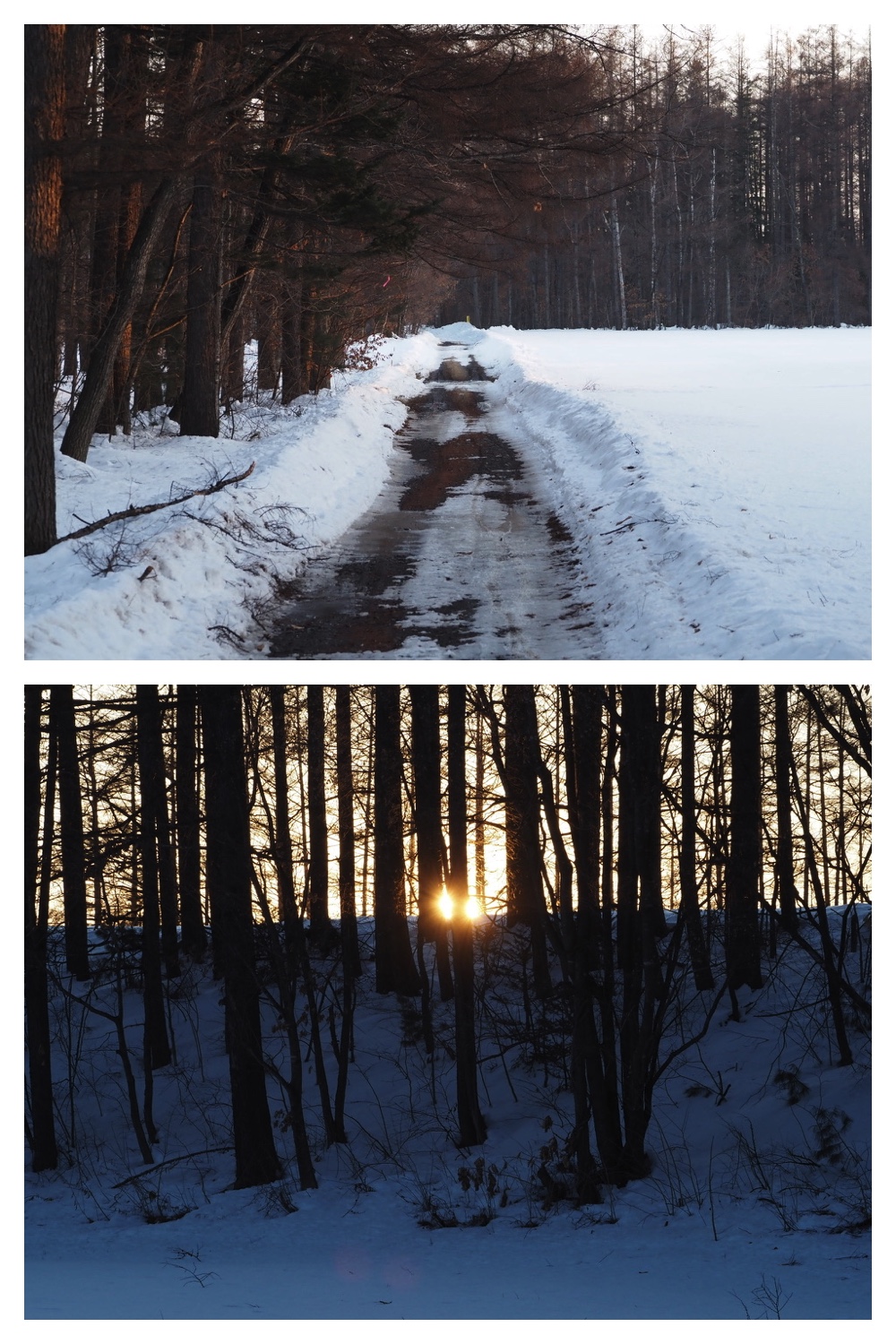 250225_Evening-walk_6