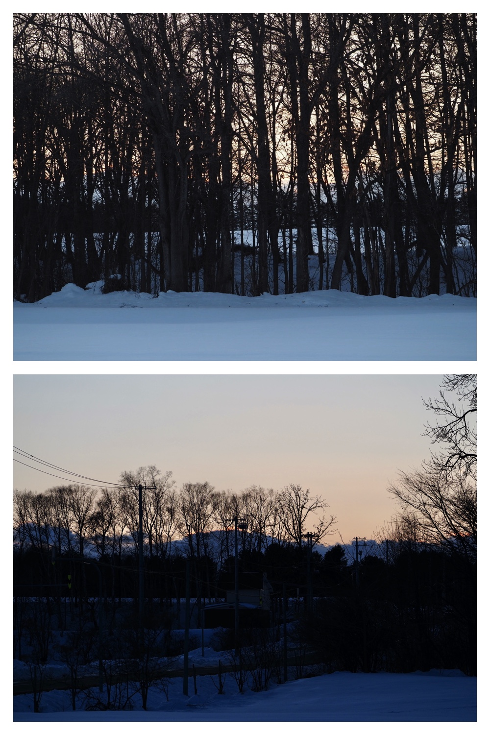 250225_Evening-walk_7
