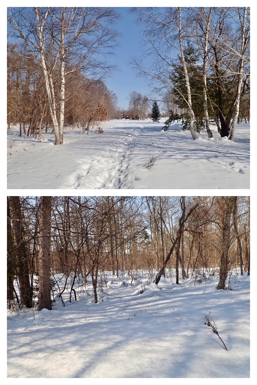 250228_Yusurika_1
