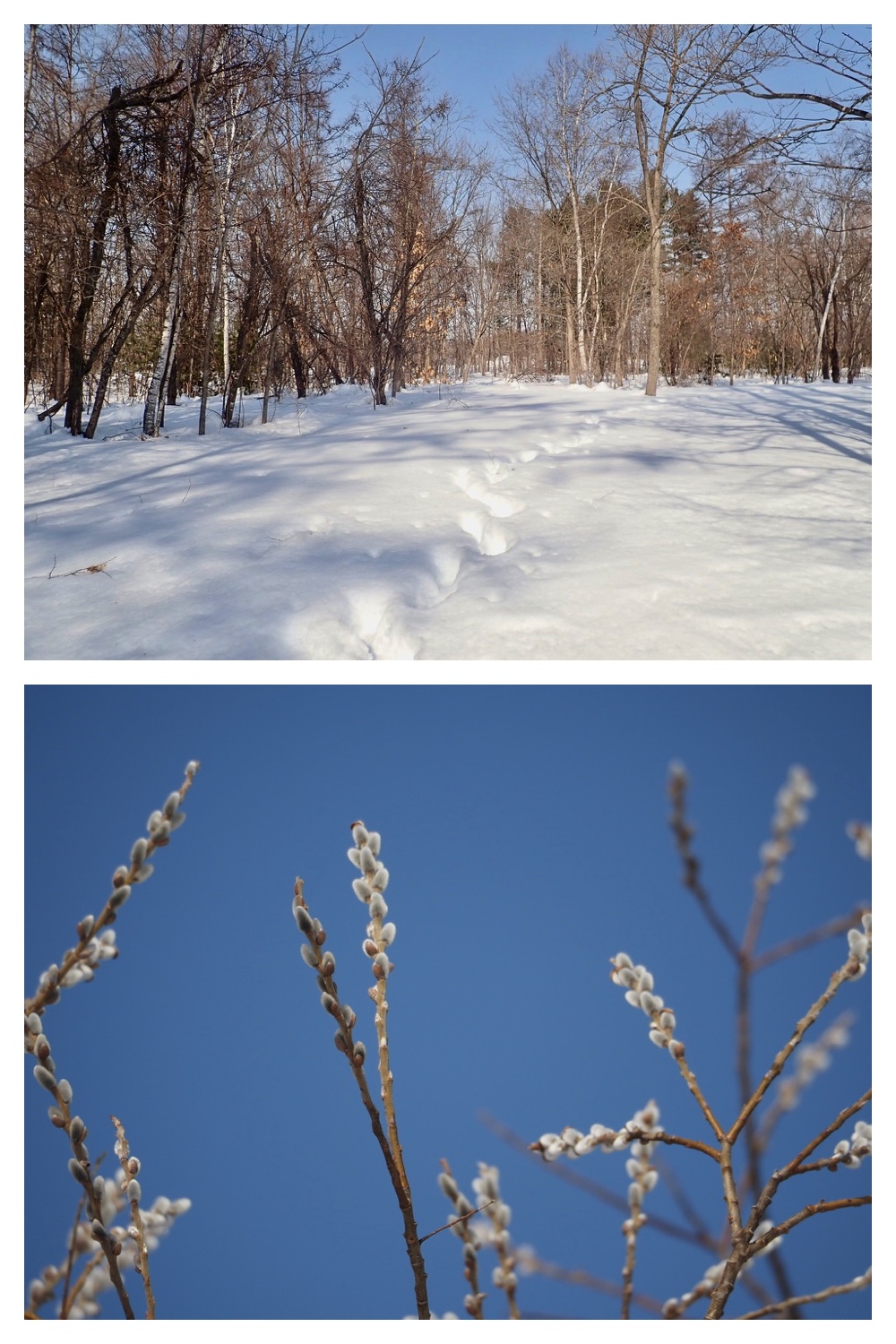 250228_Yusurika_2