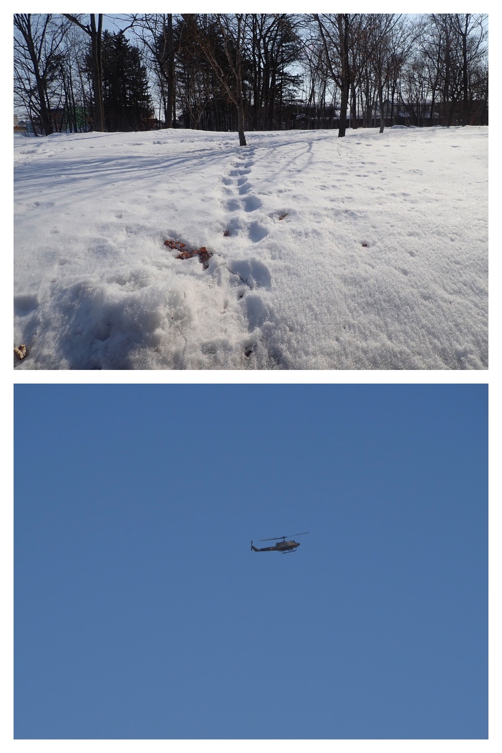250228_Yusurika_3