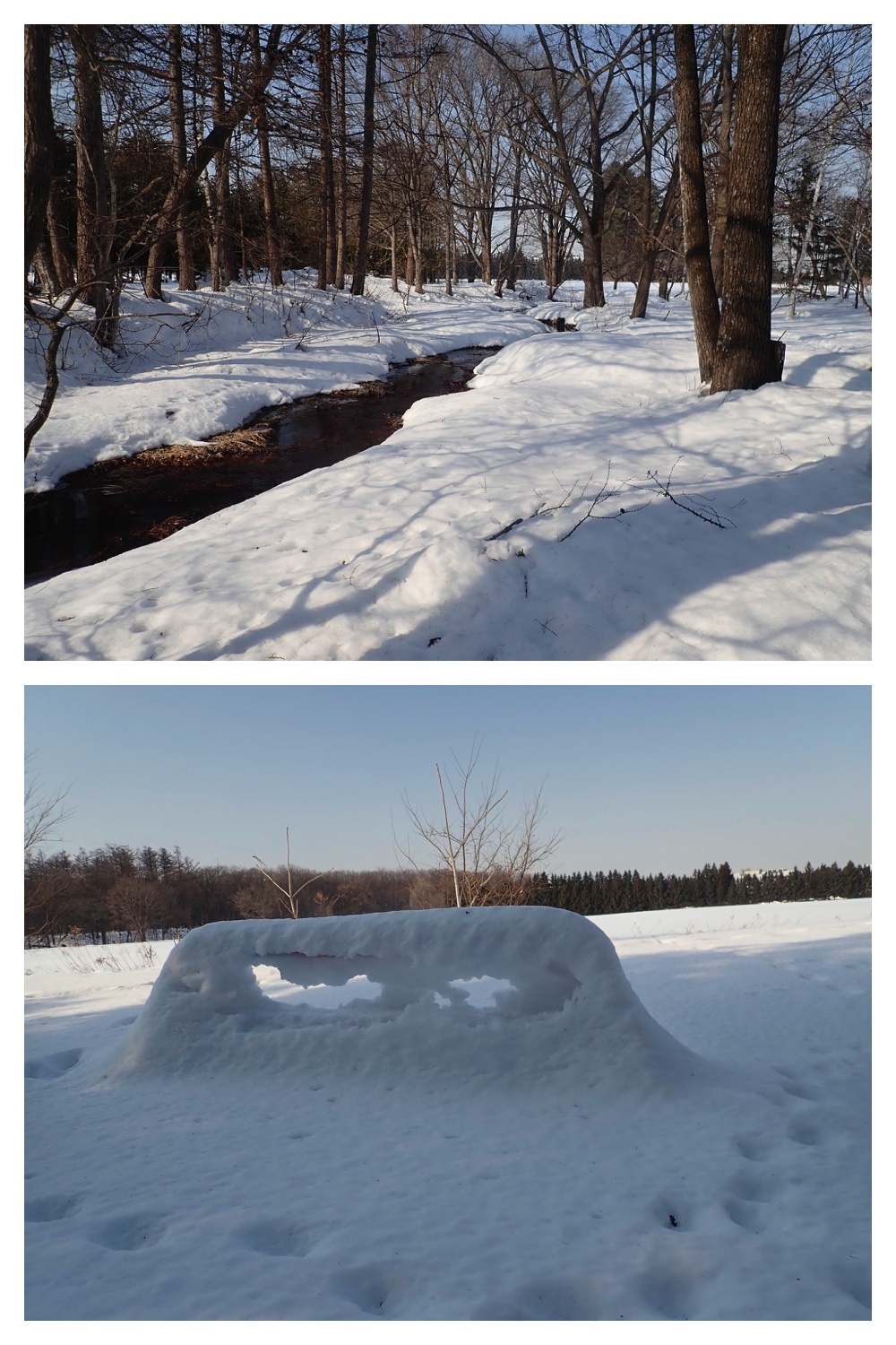 250228_Yusurika_4