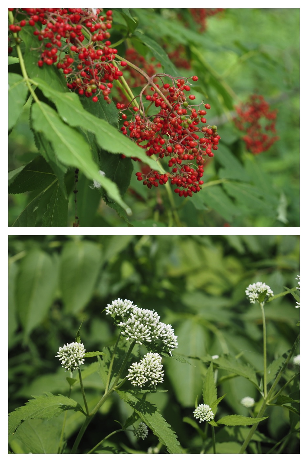 250713_Chou_14