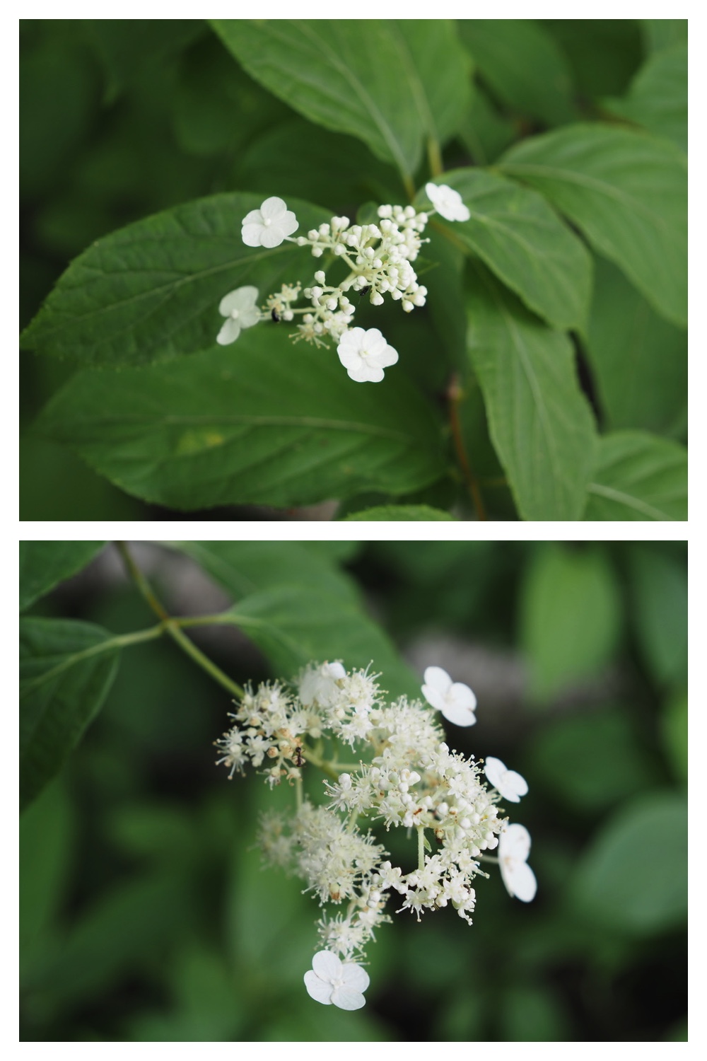 250713_Chou_18