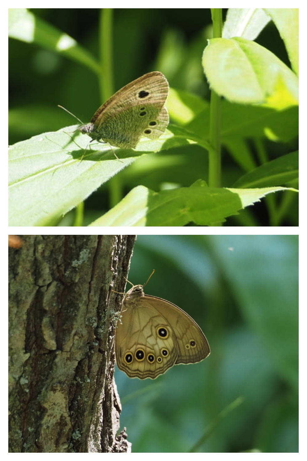 250713_Chou_21