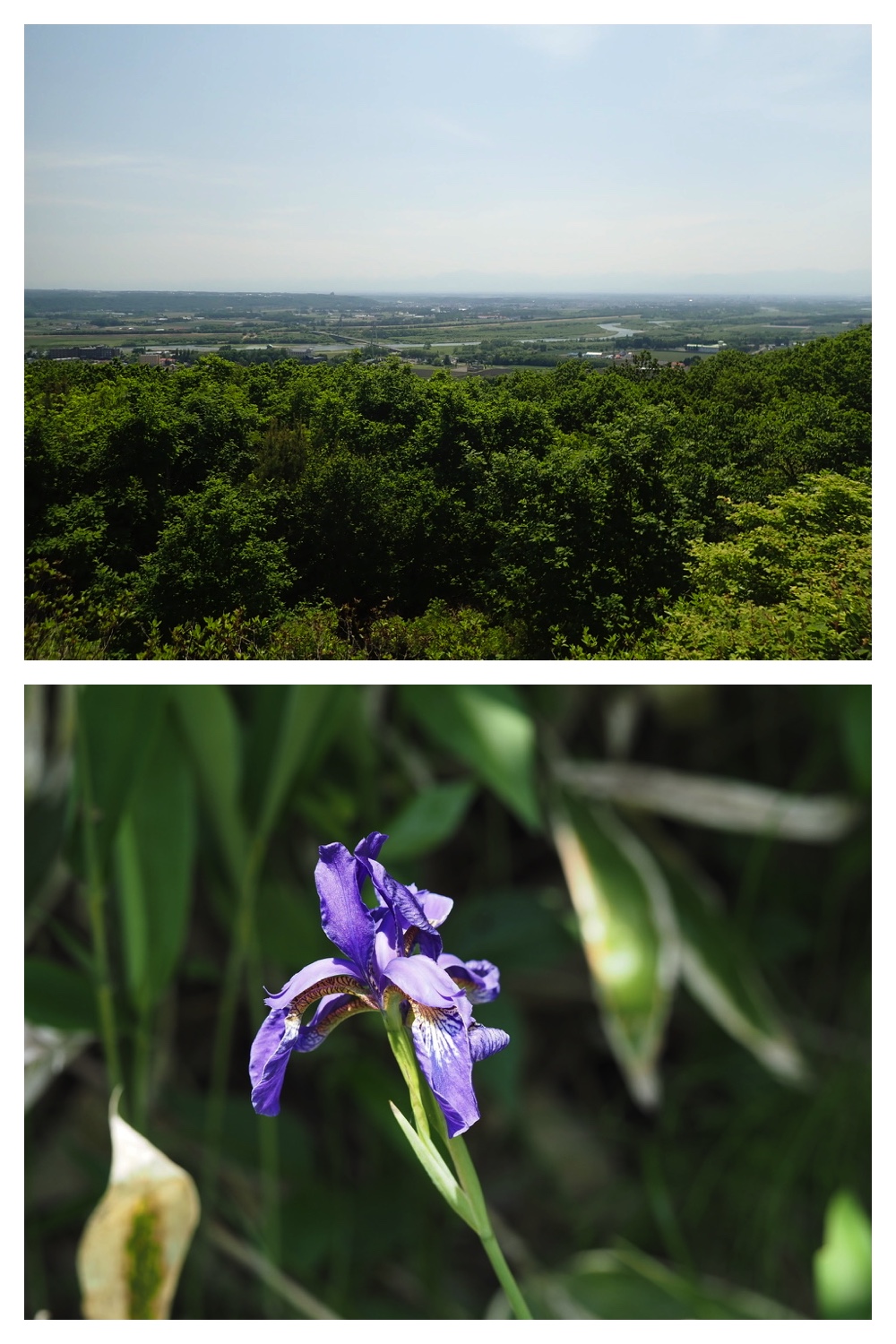 250610_Tokachigaoka_27