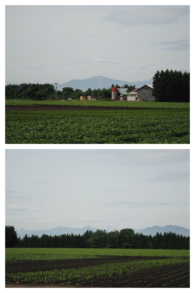 250613_Obimori_16