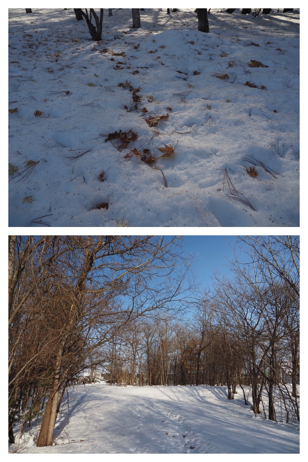 250301_Kikanko_10.