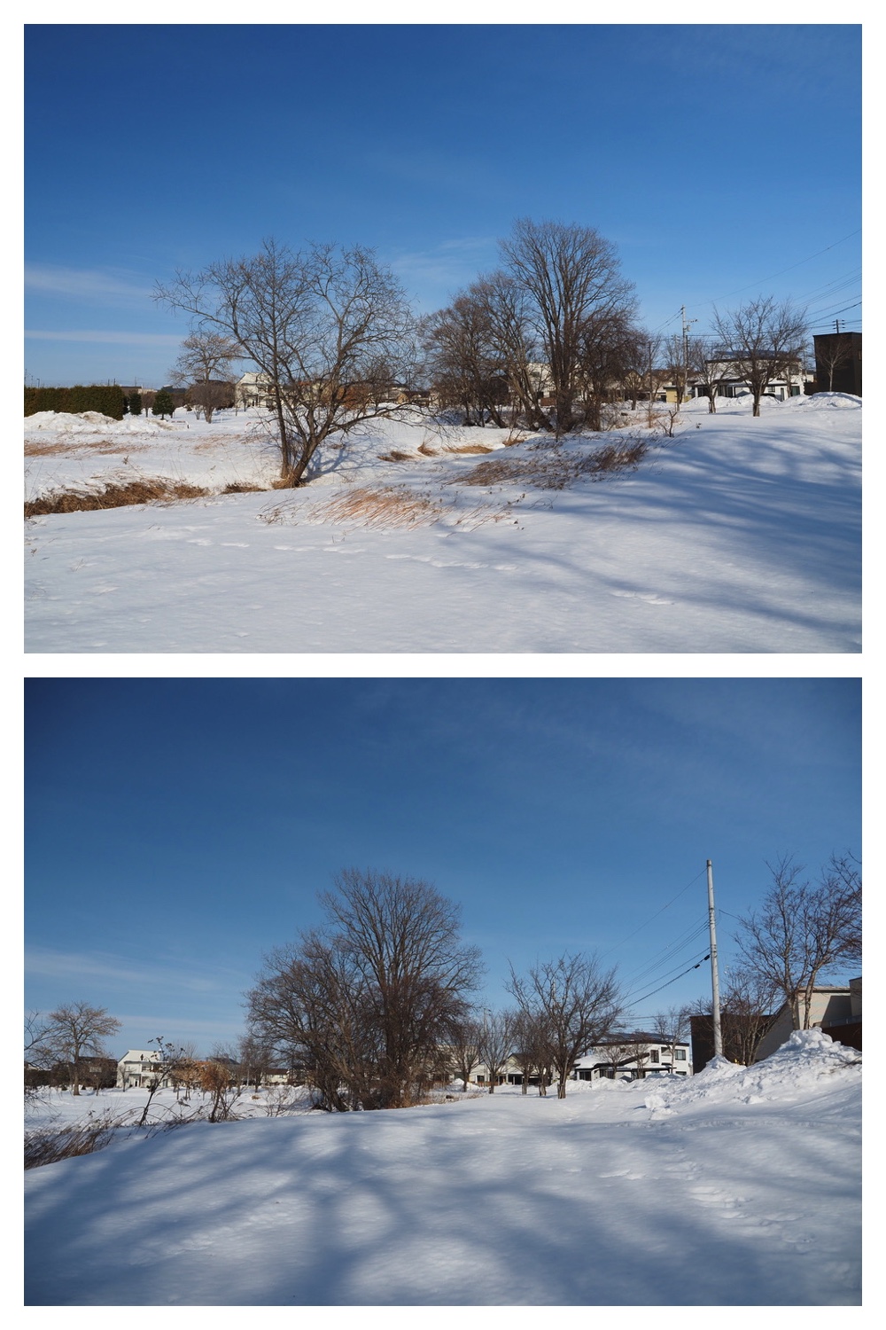 250301_Kikanko_7.