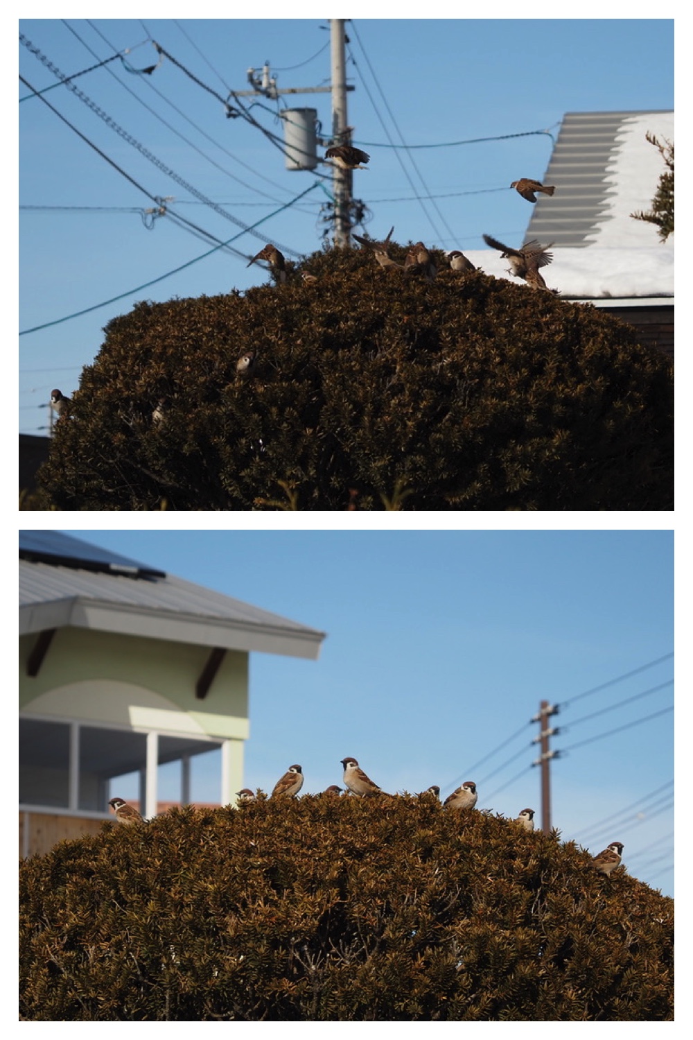 250301_Kikanko_8.