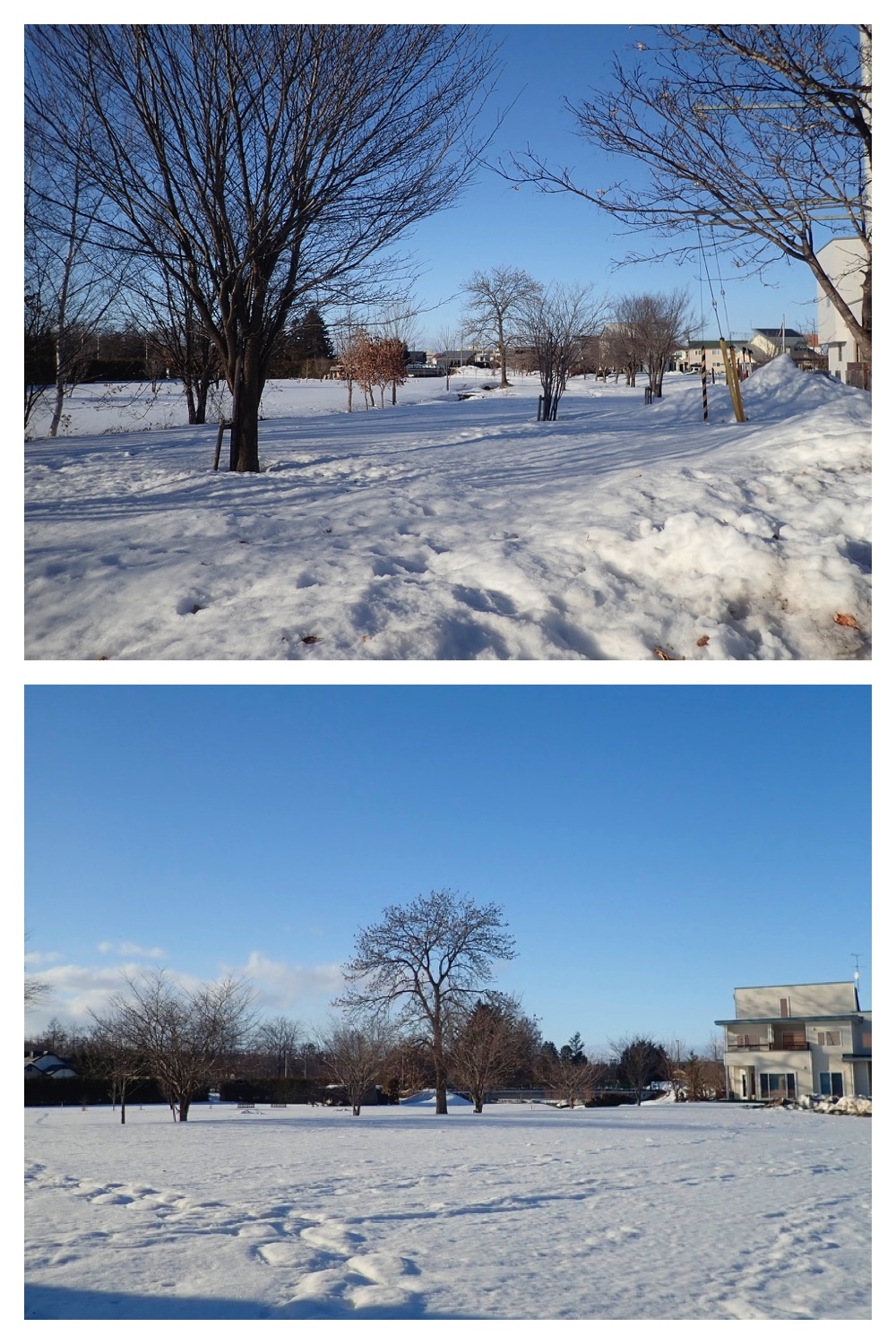 250302_Strong-wind_2