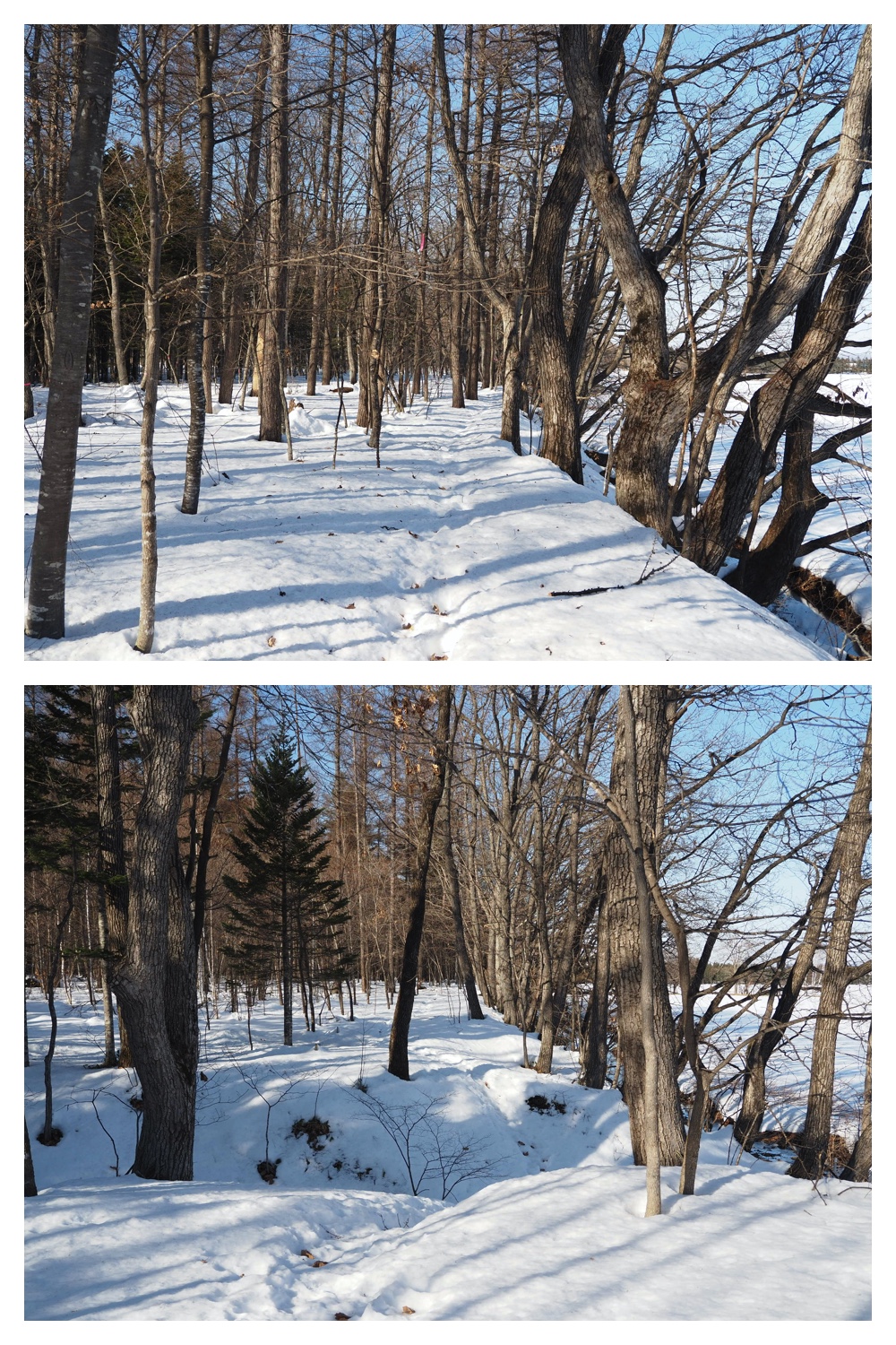 250304_Snow-melt_3