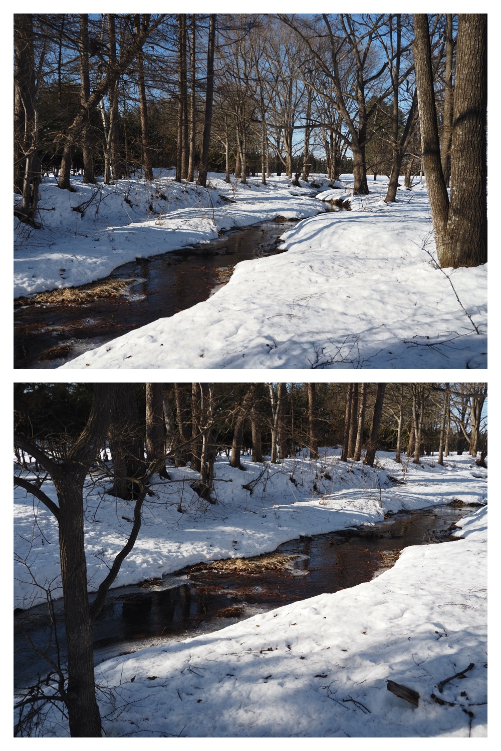 250304_Snow-melt_5