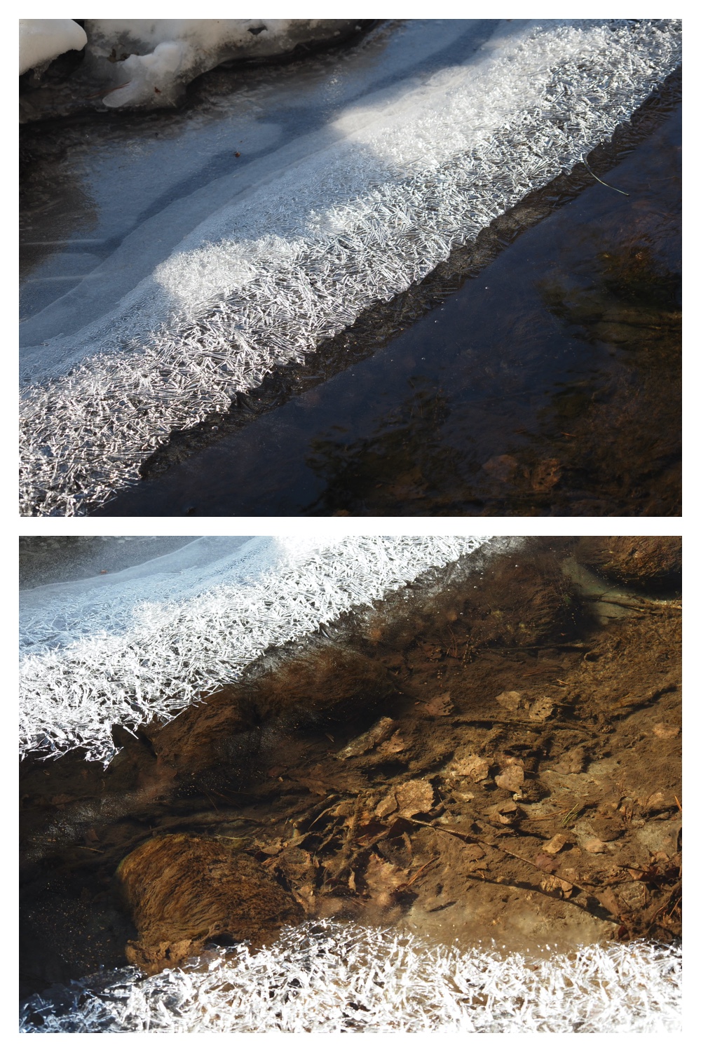 250304_Snow-melt_6