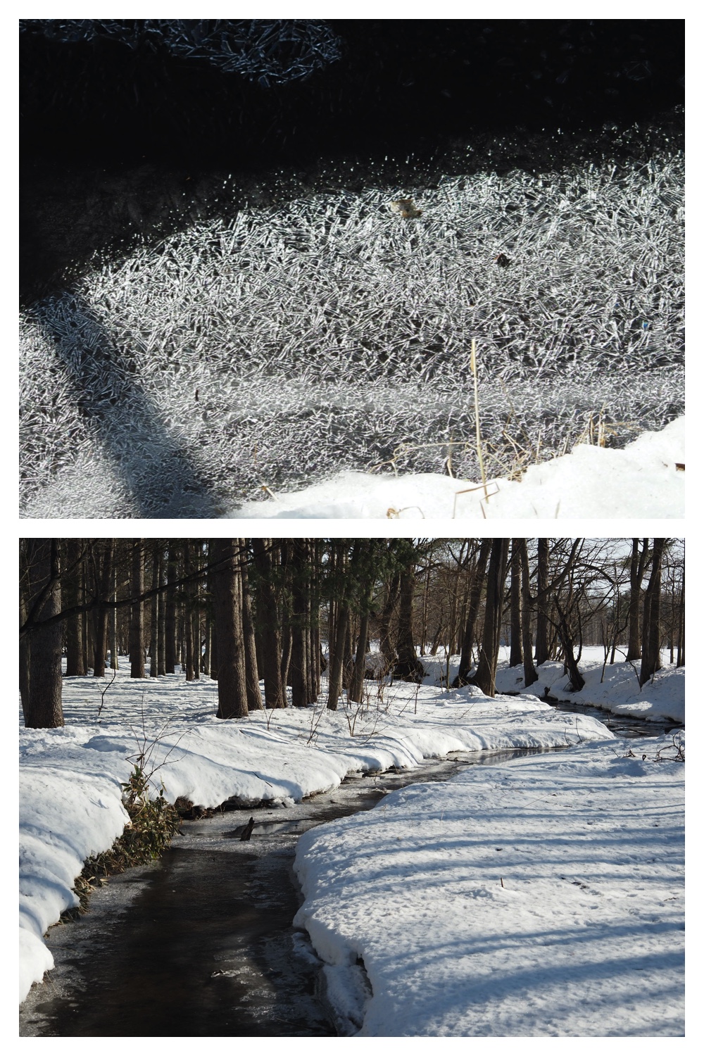 250304_Snow-melt_7