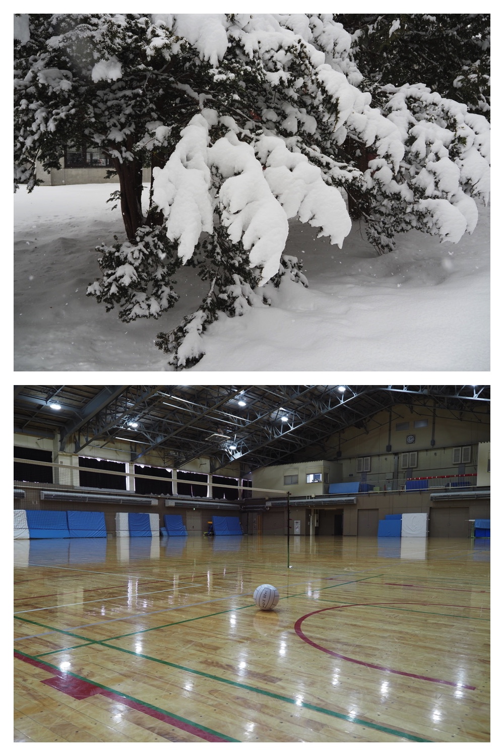 2250306_Minivolley_5