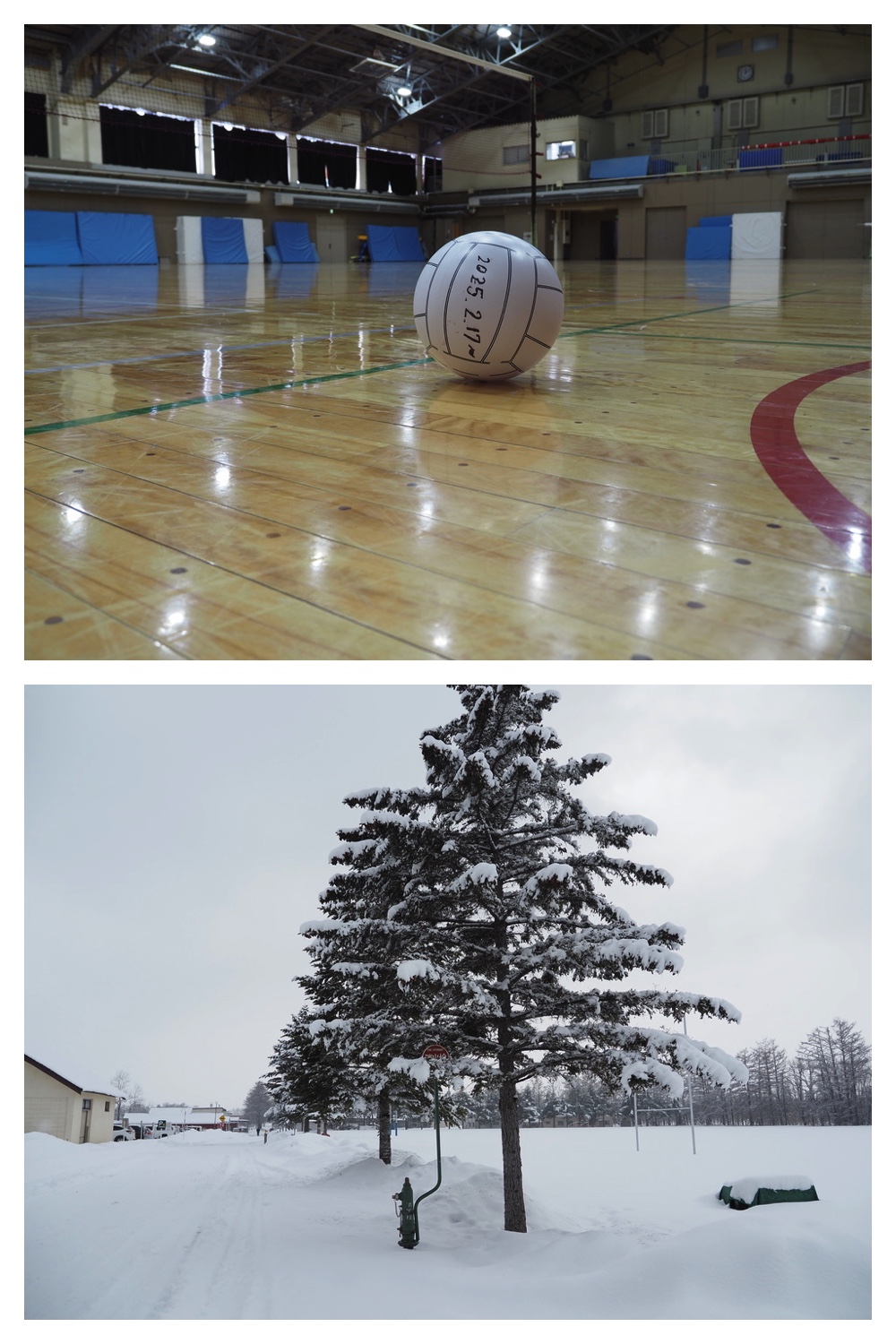 2250306_Minivolley_6