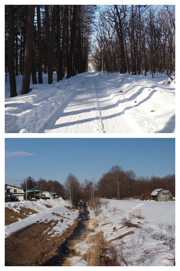 250308_Urikaigawa_3