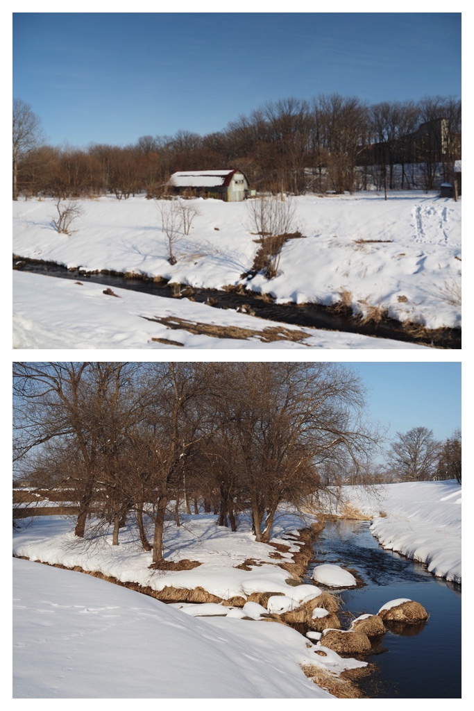 250308_Urikaigawa_4
