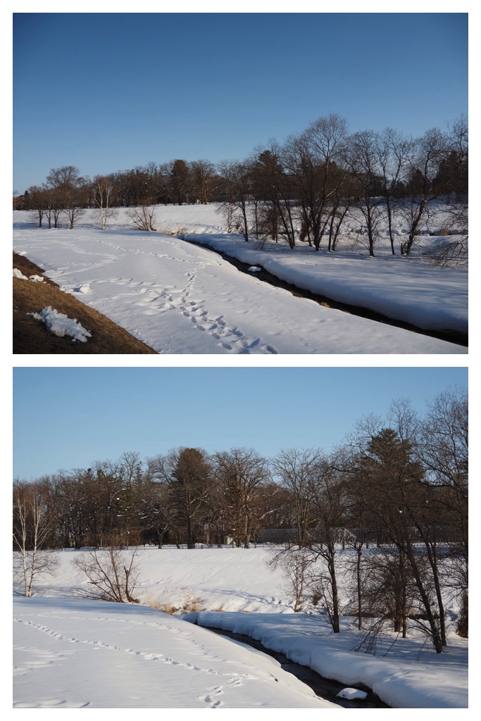 250308_Urikaigawa_6