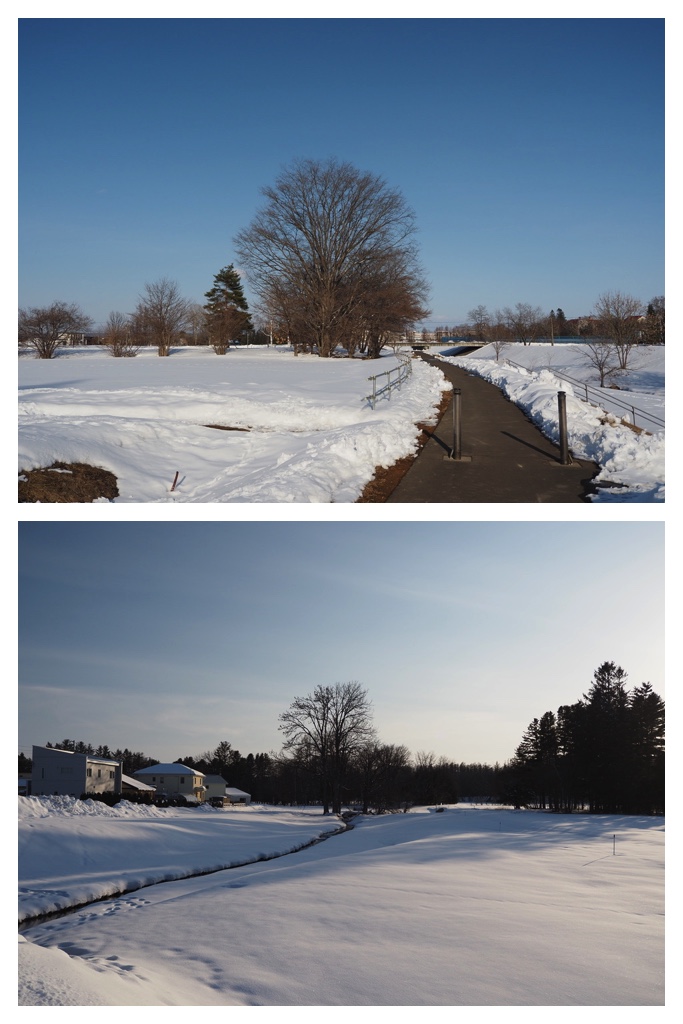250308_Urikaigawa_7