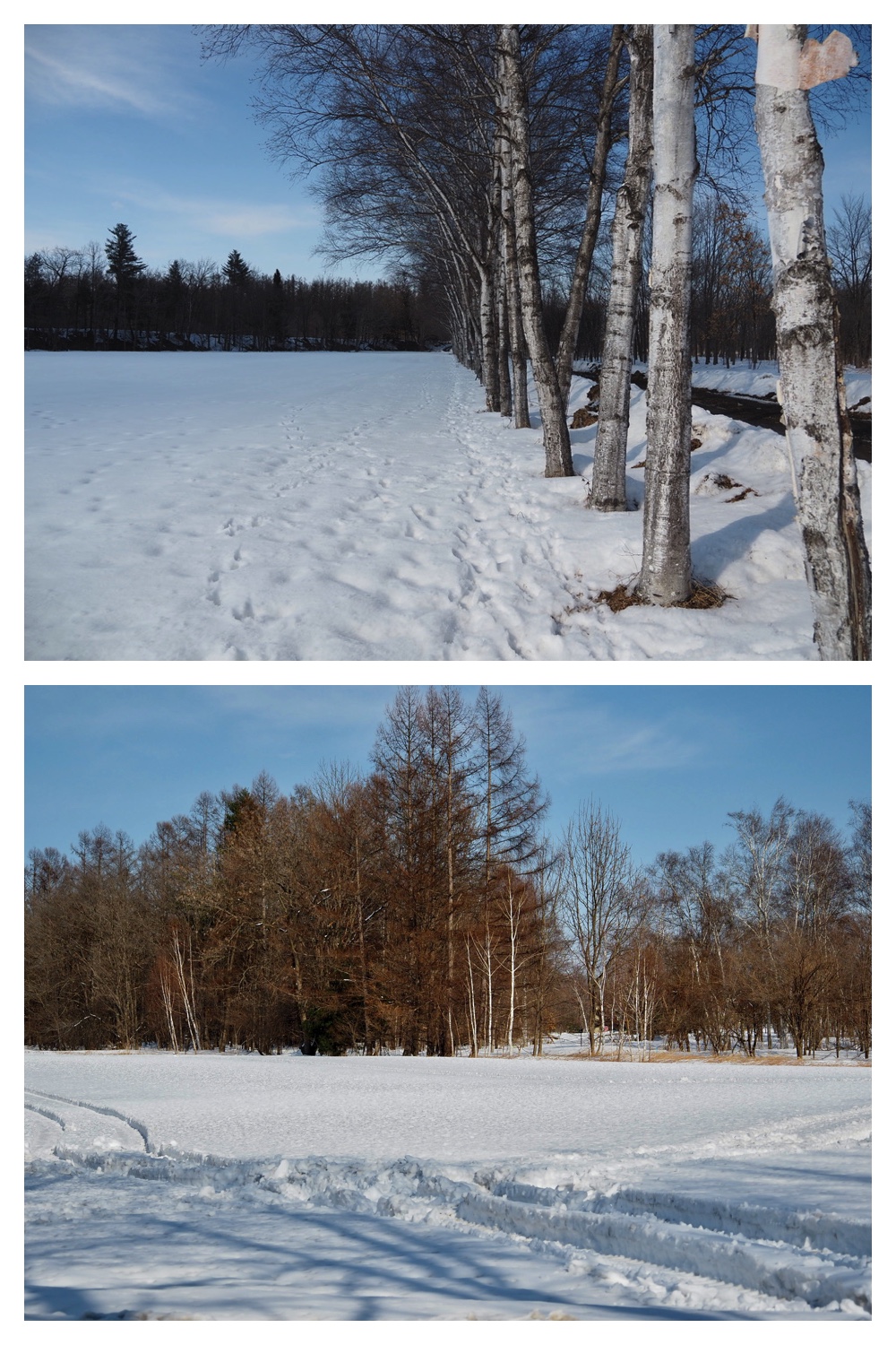 250309_Spring-sign_1