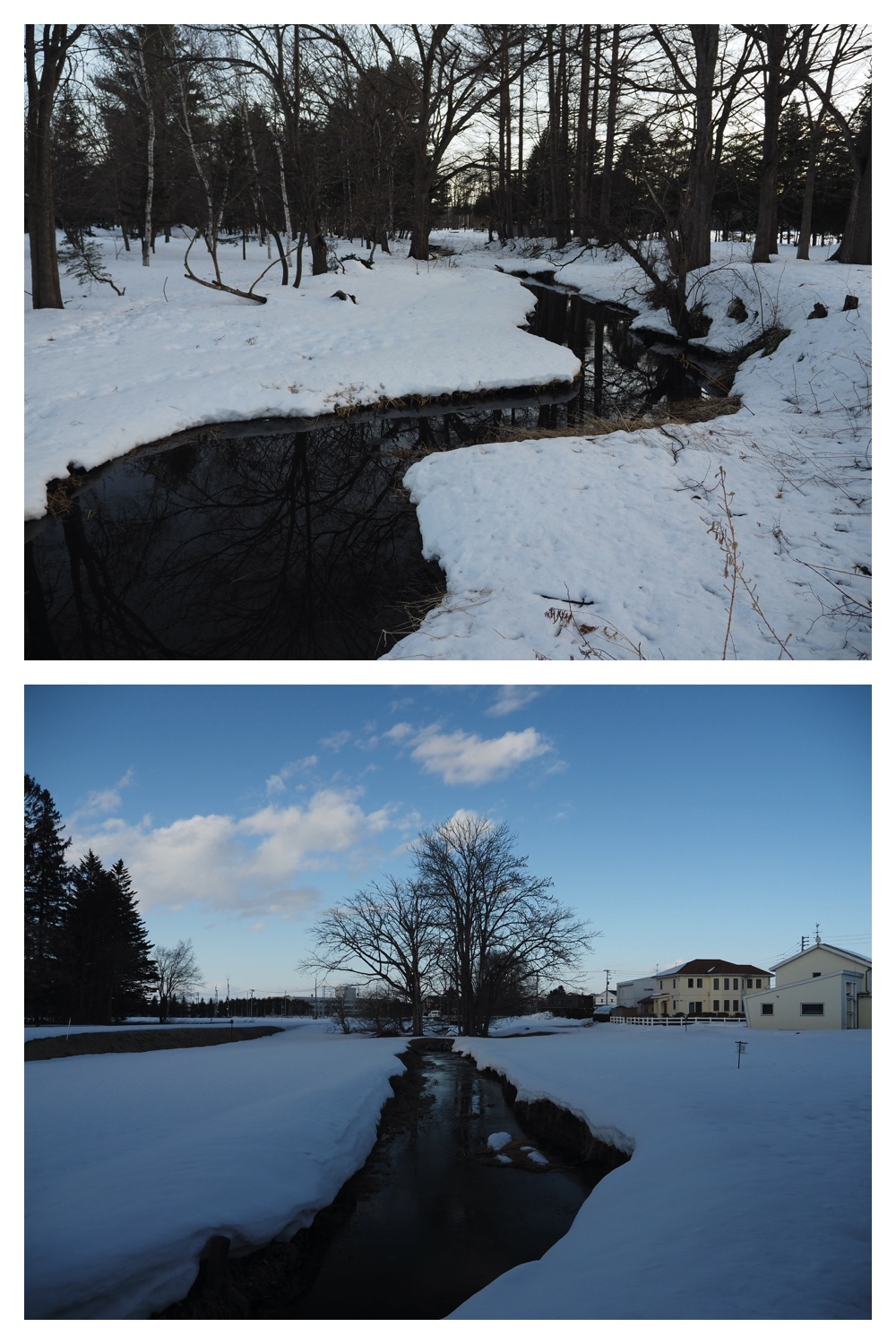250313_Snow-melt_14