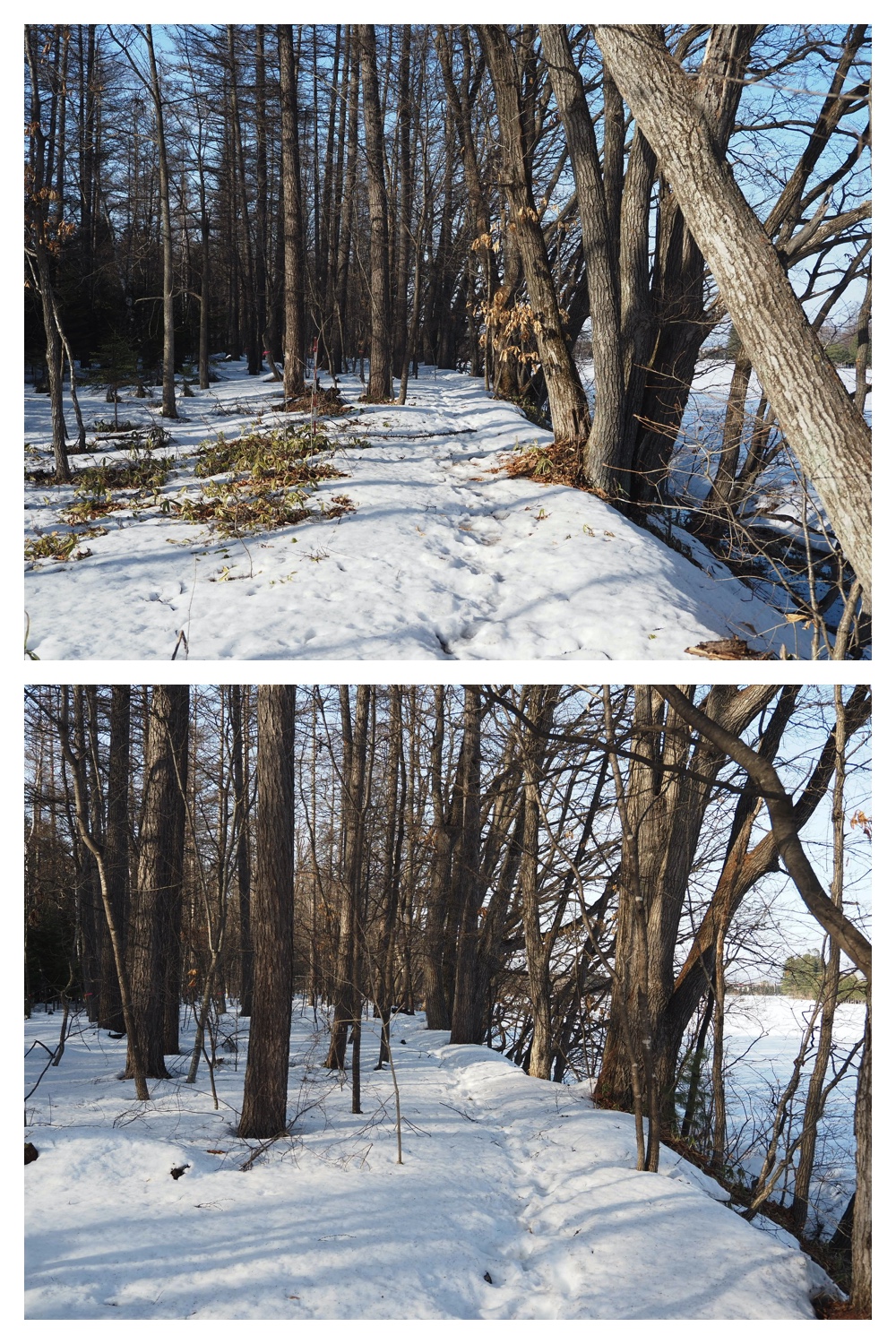 250313_Snow-melt_6
