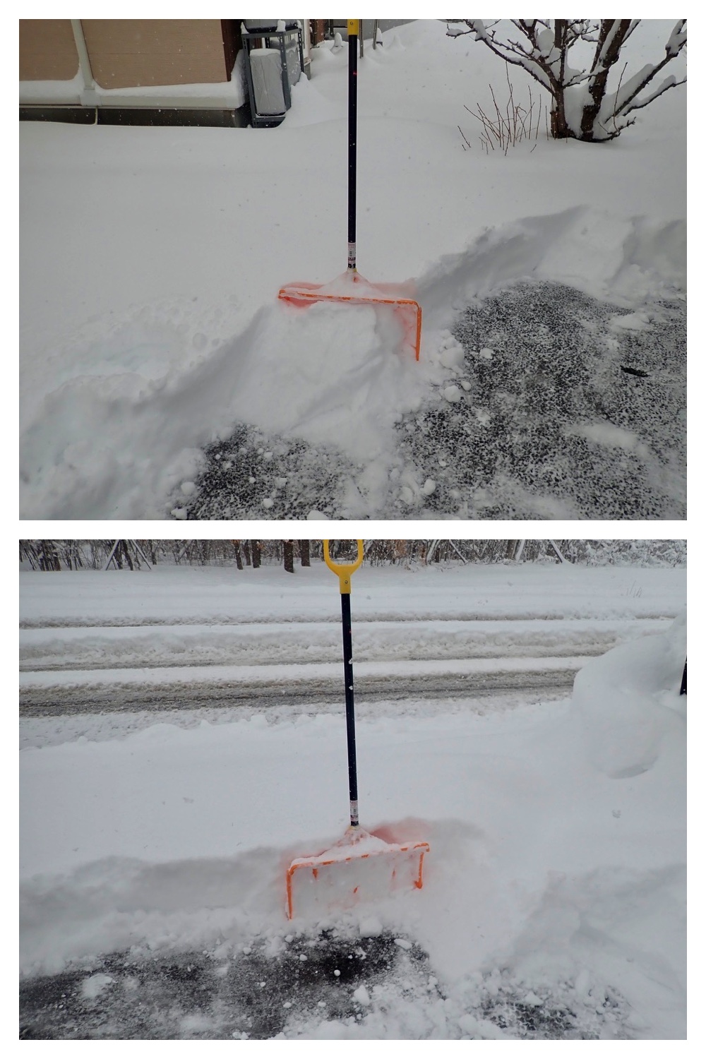 250317_March-snow_3